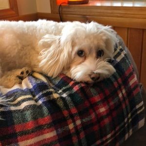 Meet your Posher, Sandy